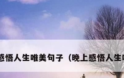 感悟人生唯美句子，晚上感悟人生唯美句子