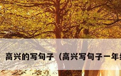 高兴的写句子，高兴写句子一年级简单