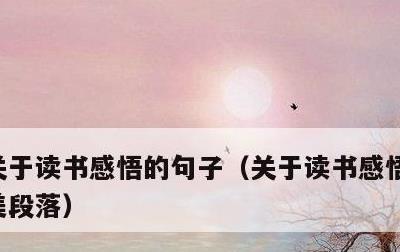 关于读书感悟的句子，关于读书感悟的句子优美段落