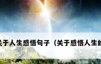 关于人生感悟句子，关于感悟人生的句子短句