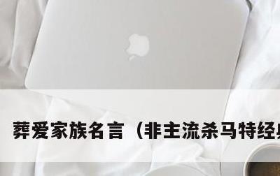 葬爱家族名言，非主流杀马特经典话语