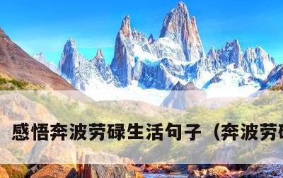 感悟奔波劳碌生活句子，奔波劳碌文案