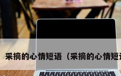 采摘的心情短语，采摘的心情短语说说