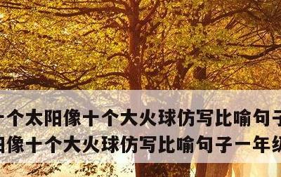十个太阳像十个大火球仿写比喻句子，十个太阳像十个大火球仿写比喻句子一年级