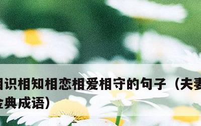 相识相知相恋相爱相守的句子，夫妻相守一生金典成语