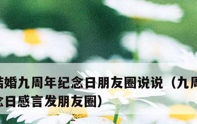 结婚九周年纪念日朋友圈说说，九周年结婚纪念日感言发朋友圈