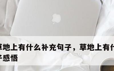 草地上有什么补充句子，草地上有什么补充句子感悟