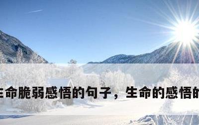 生命脆弱感悟的句子，生命的感悟的唯美句子