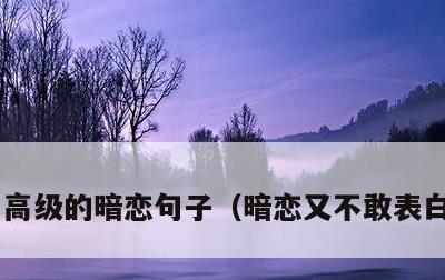 高级的暗恋句子，暗恋又不敢表白的句子