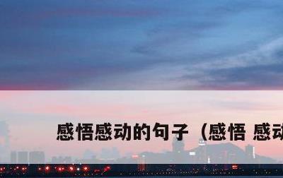 感悟感动的句子，感悟 感动