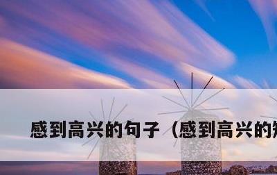 感到高兴的句子，感到高兴的短语