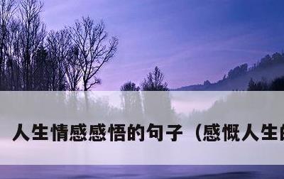 人生情感感悟的句子，感慨人生的句子