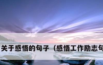 关于感悟的句子，感悟工作励志句子努力