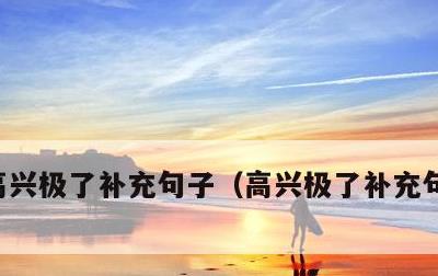 高兴极了补充句子，高兴极了补充句子怎么写