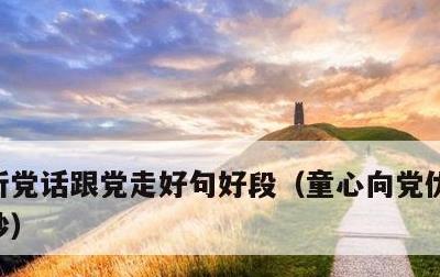 听党话跟党走好句好段，童心向党优美句子摘抄