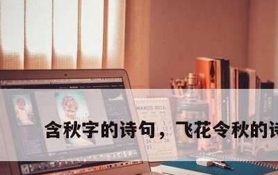 含秋字的诗句，飞花令秋的诗句