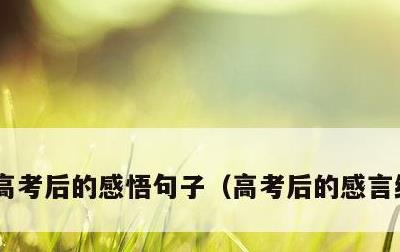 高考后的感悟句子，高考后的感言经典语句