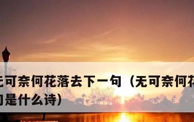 无可奈何花落去下一句，无可奈何花落去下一句是什么诗