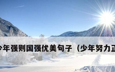 少年强则国强优美句子，少年努力正能量句子