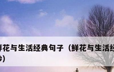 鲜花与生活经典句子，鲜花与生活经典句子摘抄