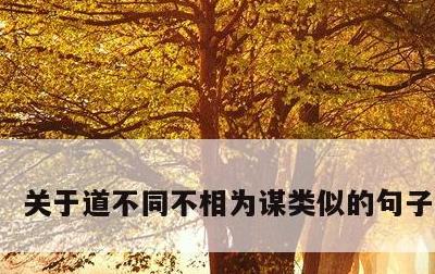 关于道不同不相为谋类似的句子的信息