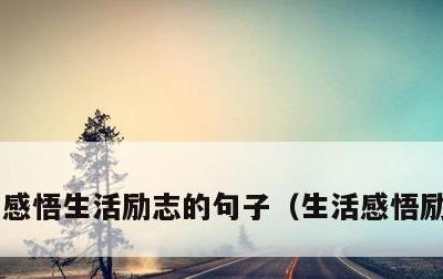 感悟生活励志的句子，生活感悟励志短句