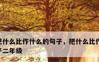 把什么比作什么的句子，把什么比作什么的句子二年级