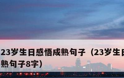 23岁生日感悟成熟句子，23岁生日感悟成熟句子8字