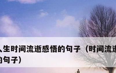 人生时间流逝感悟的句子，时间流逝感慨人生的句子