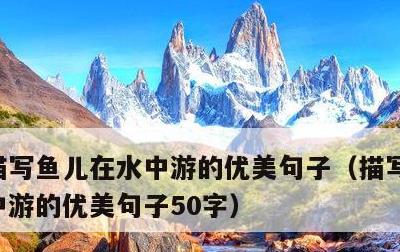 描写鱼儿在水中游的优美句子，描写鱼儿在水中游的优美句子50字