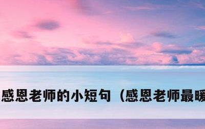 感恩老师的小短句，感恩老师最暖心句子
