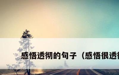 感悟透彻的句子，感悟很透彻