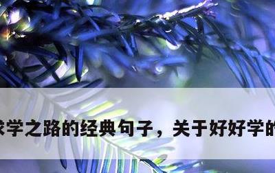 求学之路的经典句子，关于好好学的名言句子