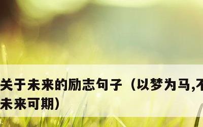 关于未来的励志句子，以梦为马,不负韶华,未来可期