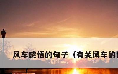 风车感悟的句子，有关风车的说说