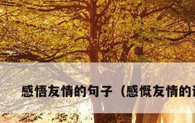 感悟友情的句子，感慨友情的说说