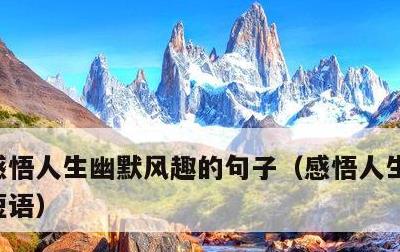 感悟人生幽默风趣的句子，感悟人生幽默哲理短语