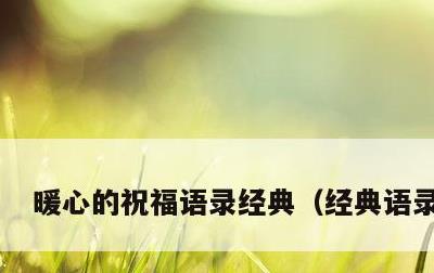 暖心的祝福语录经典，经典语录情感