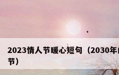 2023情人节暖心短句，2030年的情人节