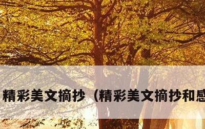 精彩美文摘抄，精彩美文摘抄和感悟200