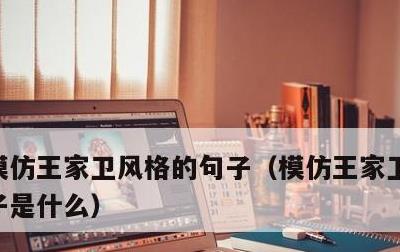 模仿王家卫风格的句子，模仿王家卫风格的句子是什么