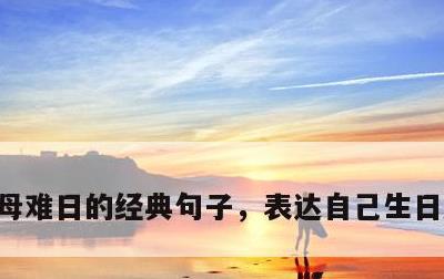 母难日的经典句子，表达自己生日感恩母亲