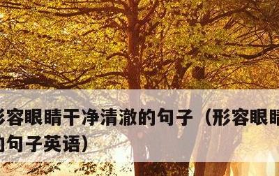 形容眼睛干净清澈的句子，形容眼睛干净清澈的句子英语