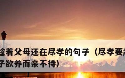 趁着父母还在尽孝的句子，尽孝要趁早,莫等子欲养而亲不待
