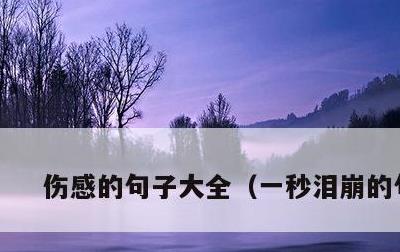 伤感的句子大全，一秒泪崩的句子