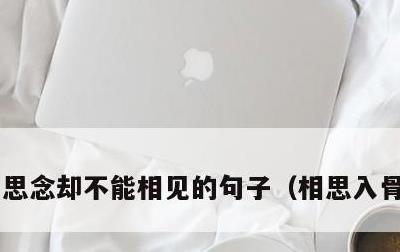 思念却不能相见的句子，相思入骨的诗句