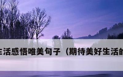 生活感悟唯美句子，期待美好生活的唯美句子