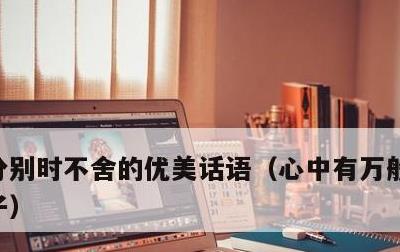 分别时不舍的优美话语，心中有万般不舍的句子