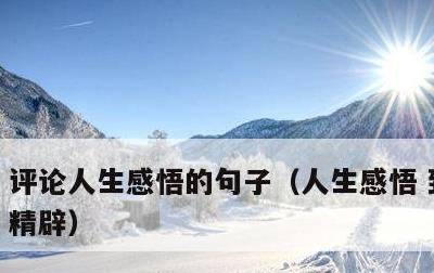 评论人生感悟的句子，人生感悟 致自己 !精辟