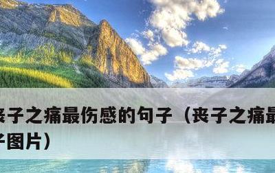 丧子之痛最伤感的句子，丧子之痛最伤感的句子图片